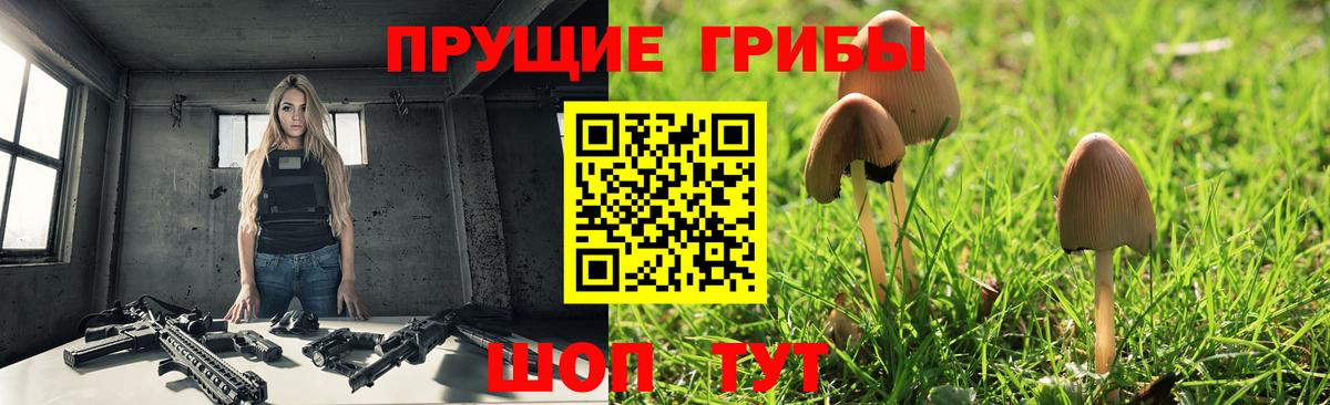 Аргун  Галлюциногенные грибы ЛСД  Вход с VPN 