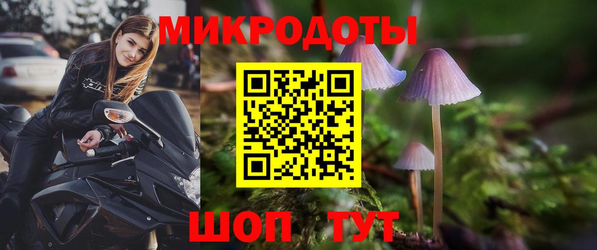 Галлюциногенные грибы GOLDEN TEACHER Аргун